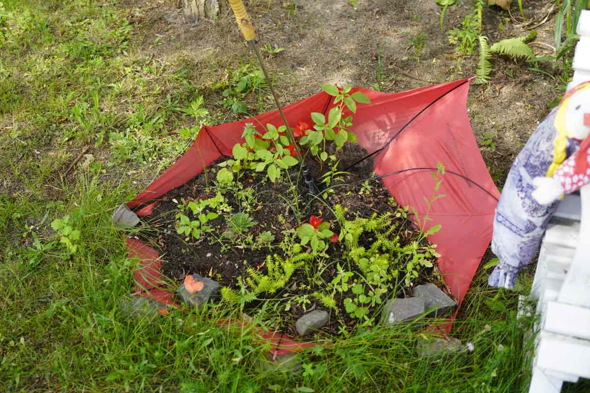 Eine Regenschirm-Upcycling-Idee zeigt einen roten Regenschirm, der als Blumenbeet benutzt wird.