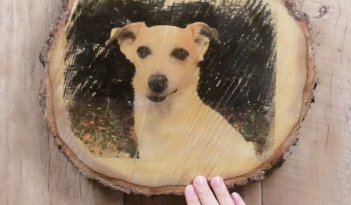 Ein Foto von einem Hund auf eine Baumscheibe gedruckt.