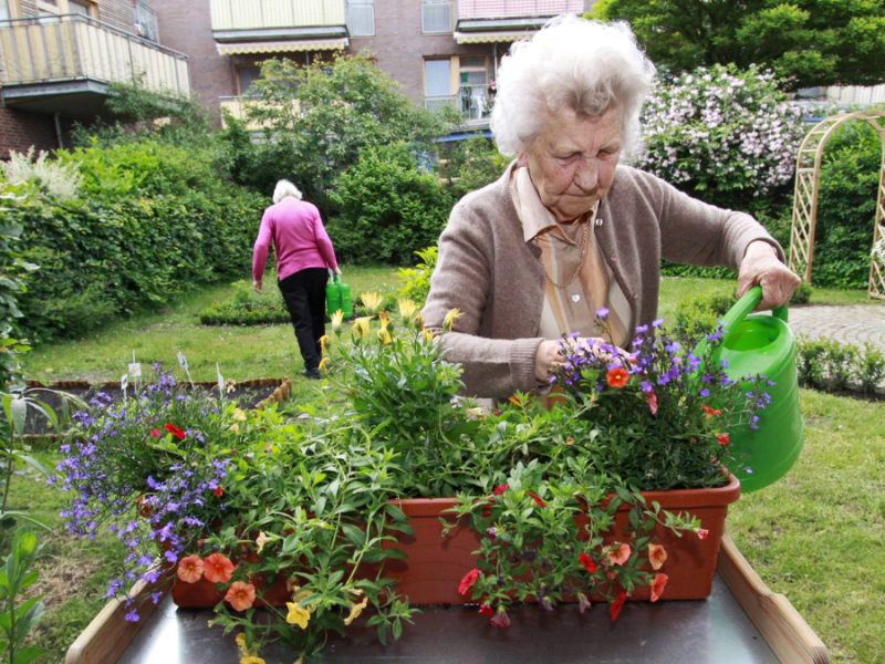 Eine ältere Dame pflanzt Blumen an einem Pflanztisch.