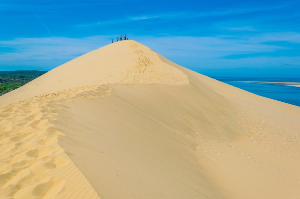 Ein Bild von einer Sanddüne, im Hintergrund ist das Meer zu sehen.