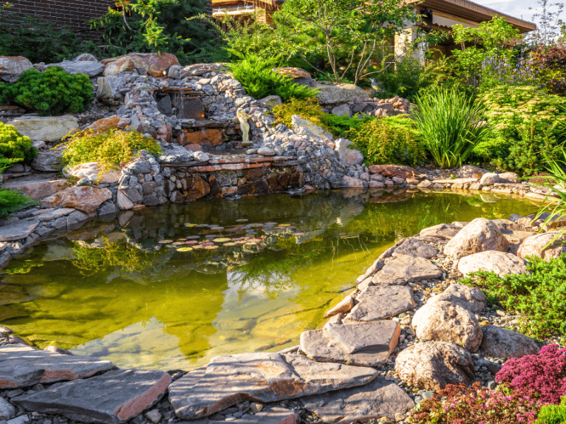 Schöner Teich im Garten