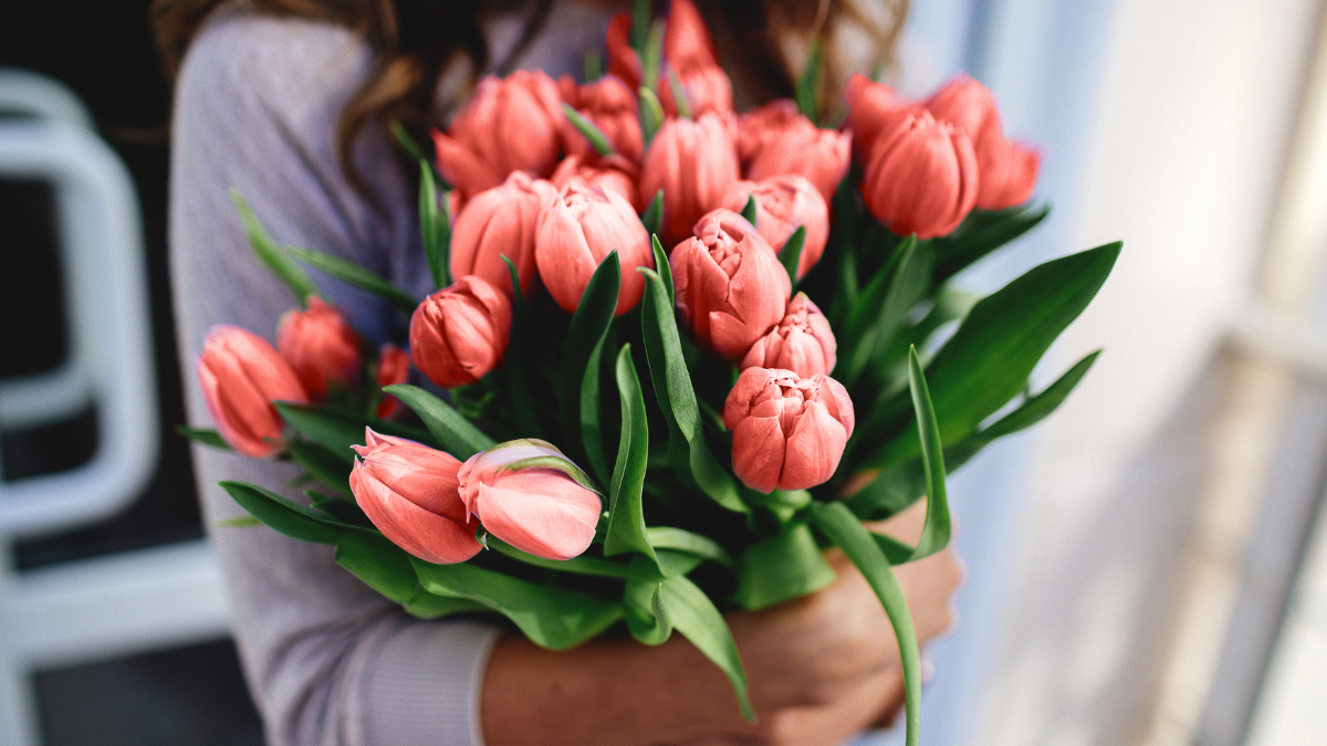 Eine Frau hält einen Strauß pinke Tulpen im Arm.