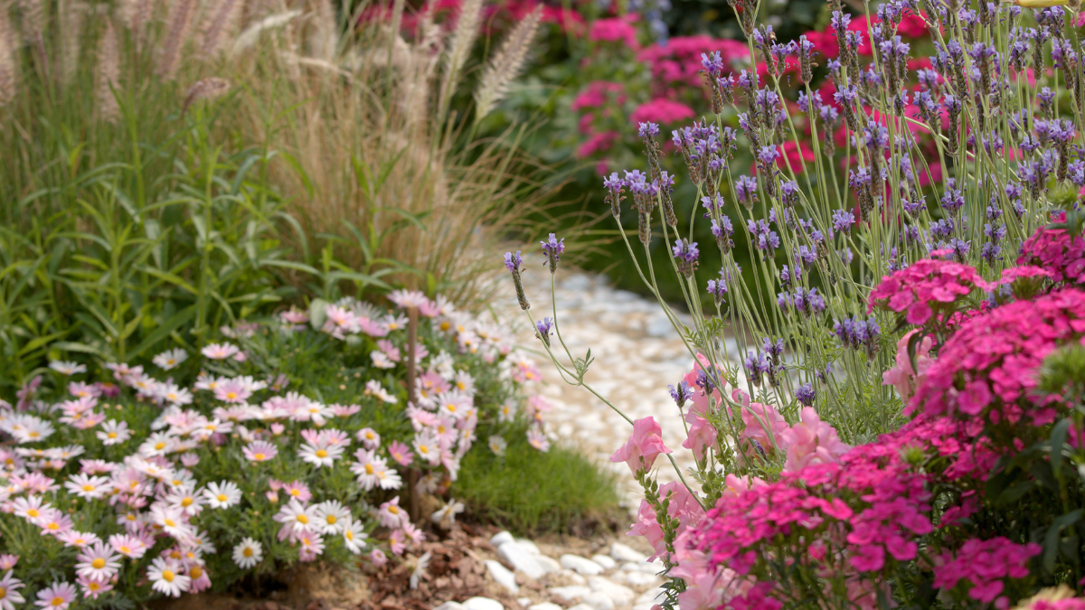 Ein bunt blühender Garten