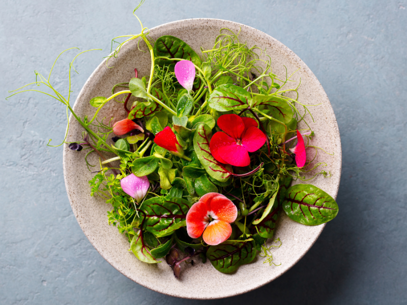 Ein Teller mit Salat und essbaren Blüten.