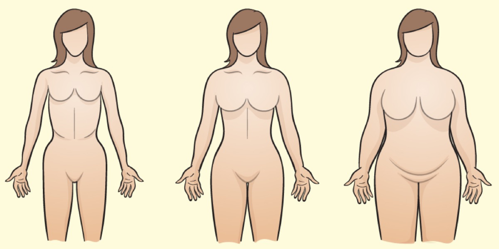 Illustration verschiedener Körperformen des weiblichen Körpers.