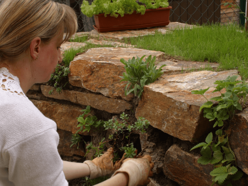 Frau im Garten