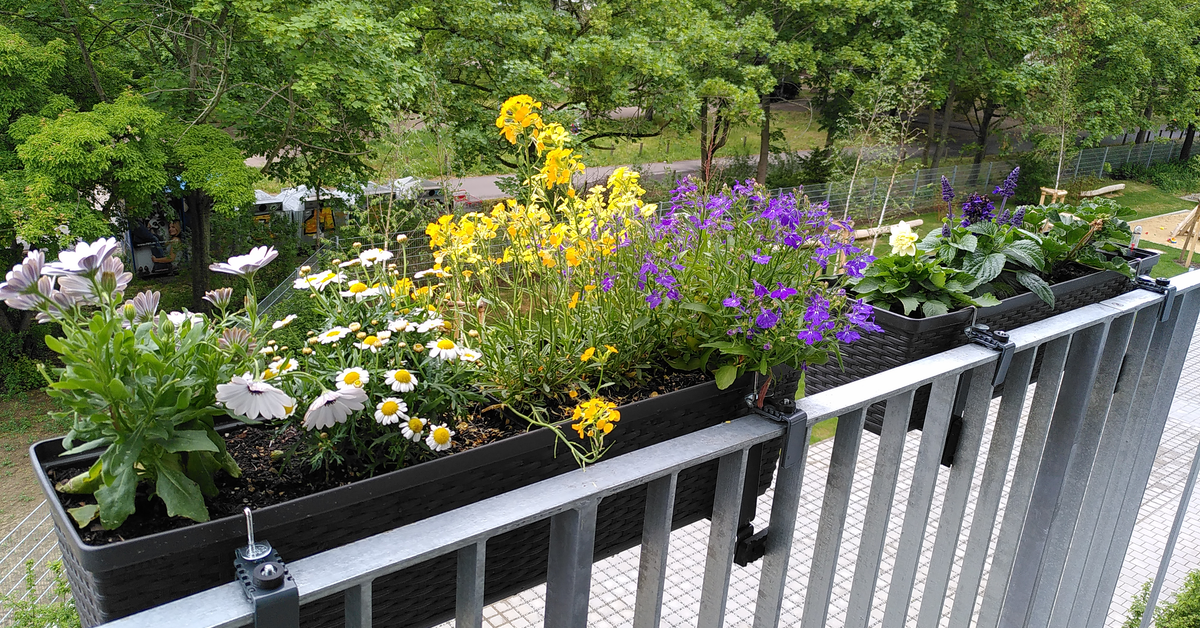 Bunte Blumen auf dem Balkon