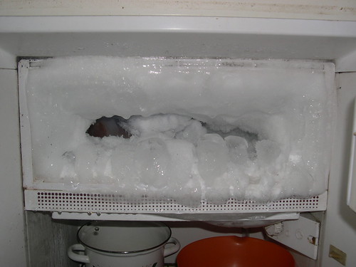 My freezer