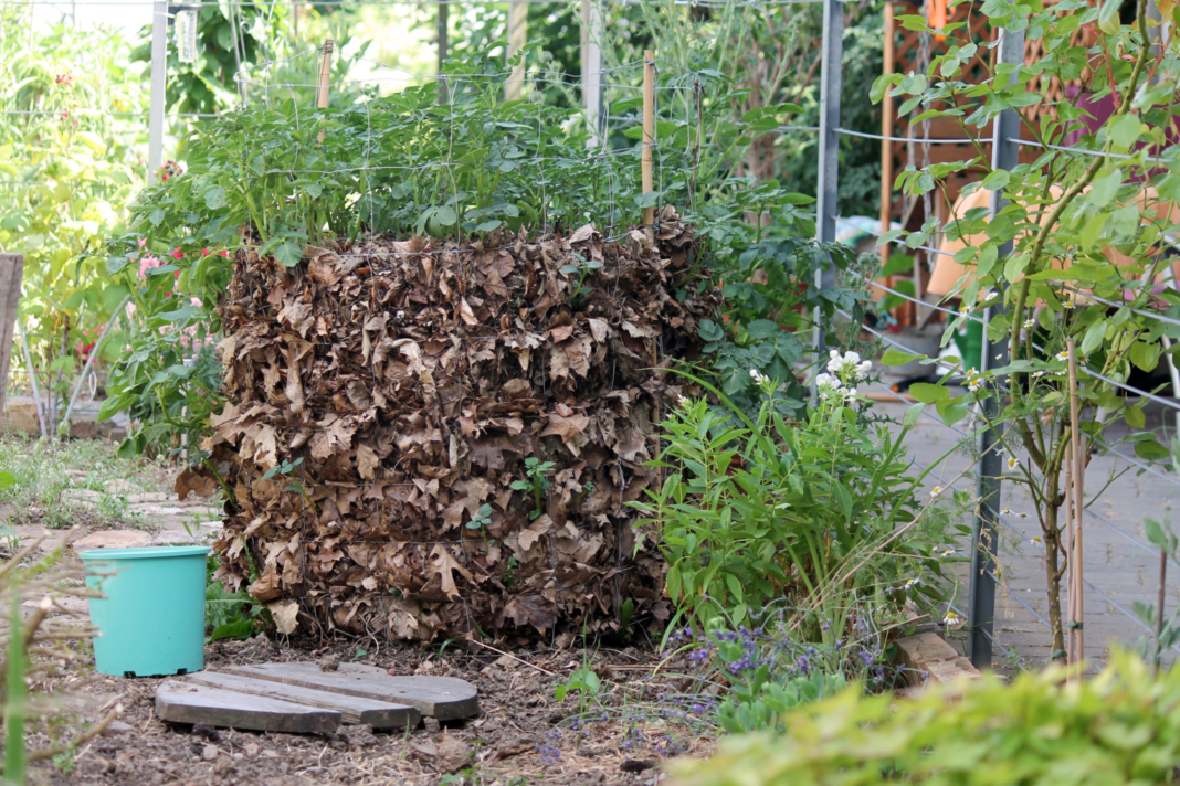 Ein Kartoffelturm in einem Garten. Mit dieser Anbaumethode kannst du eine Menge Platz sparen. Außerdem kannst du den Kartoffelturm selber bauen.