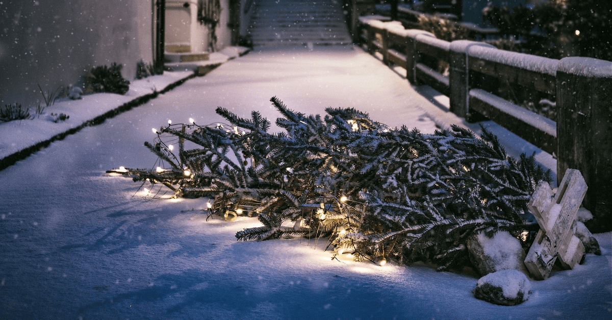 Ein Weihnachtsbaum mit Lichtern liegt auf einem verschneiten Gehweg.