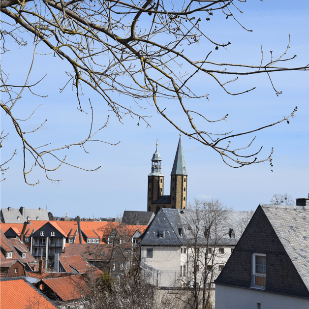 Das Panorama von Goslar.