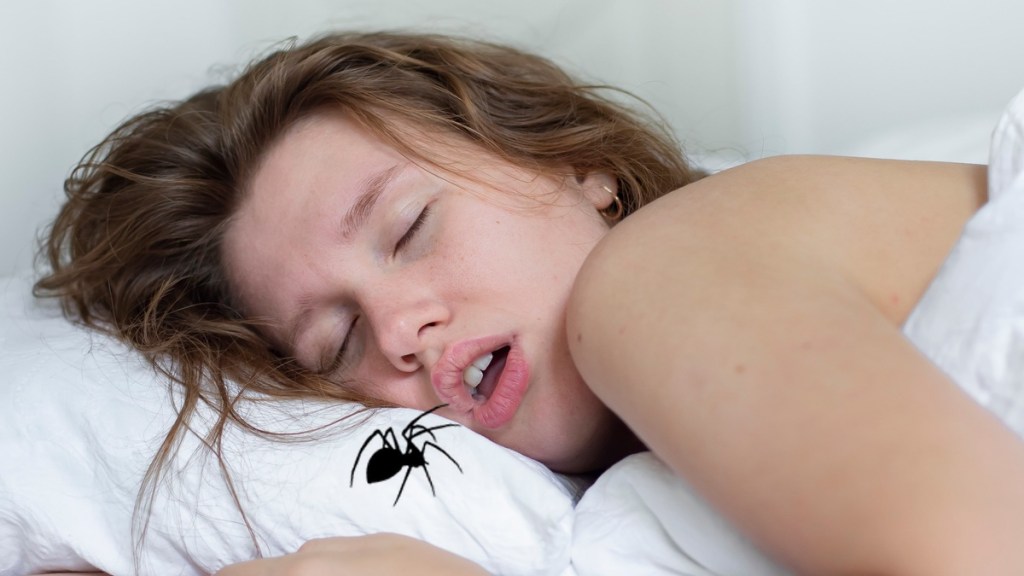 Frau liegt mit offenen Mund im Bett, eine Spinne ist auf dem Kissen.