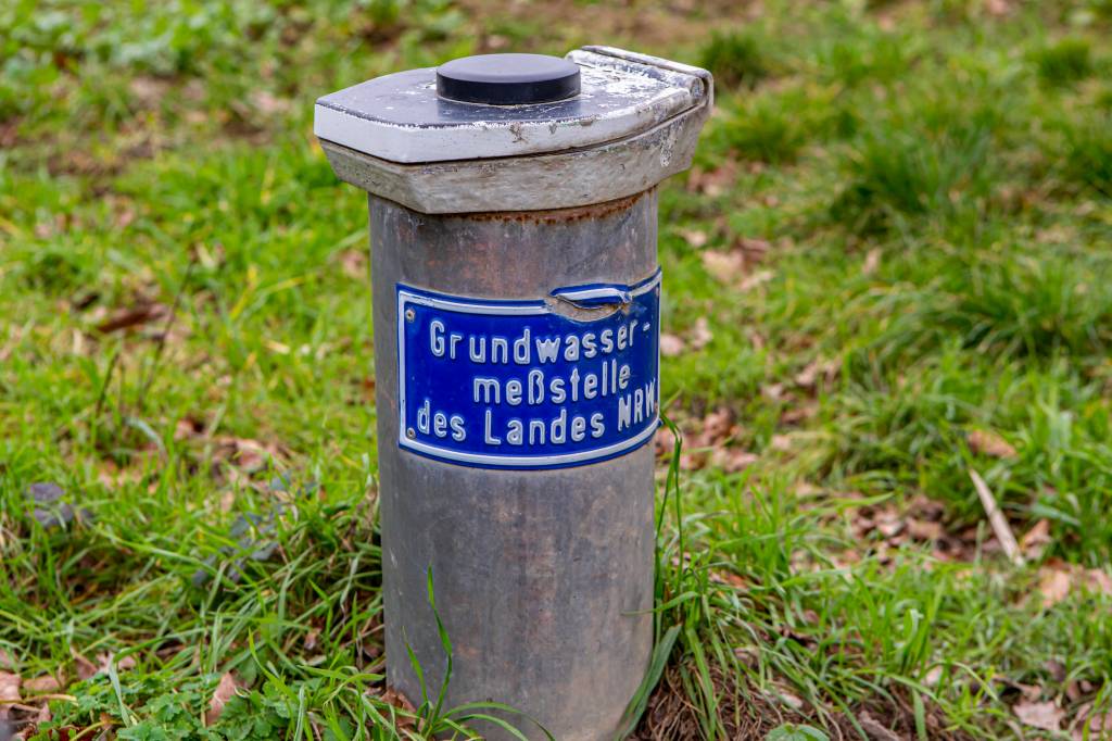 Eine graue Röhre im Wald.