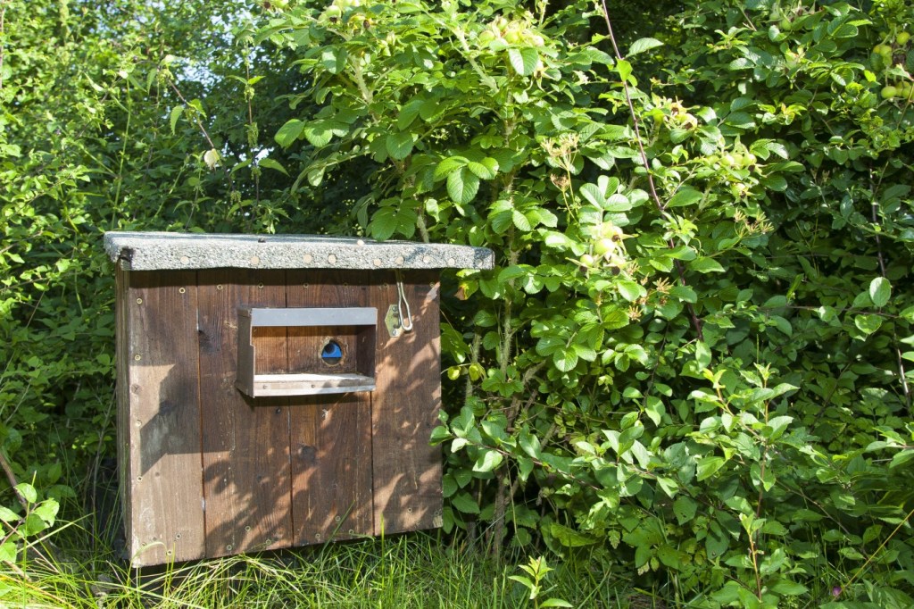 Hummelkasten im Garten