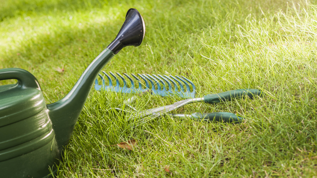 Giesskanne, Harke und Rechen liegen im Gras