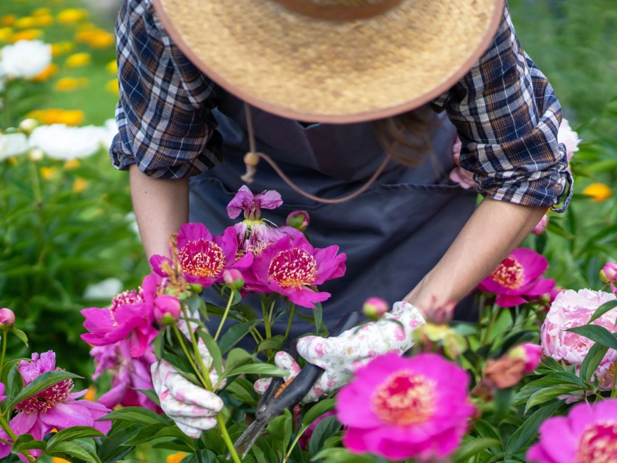 Garten: Warum immer mehr Frauen den BH weglassen