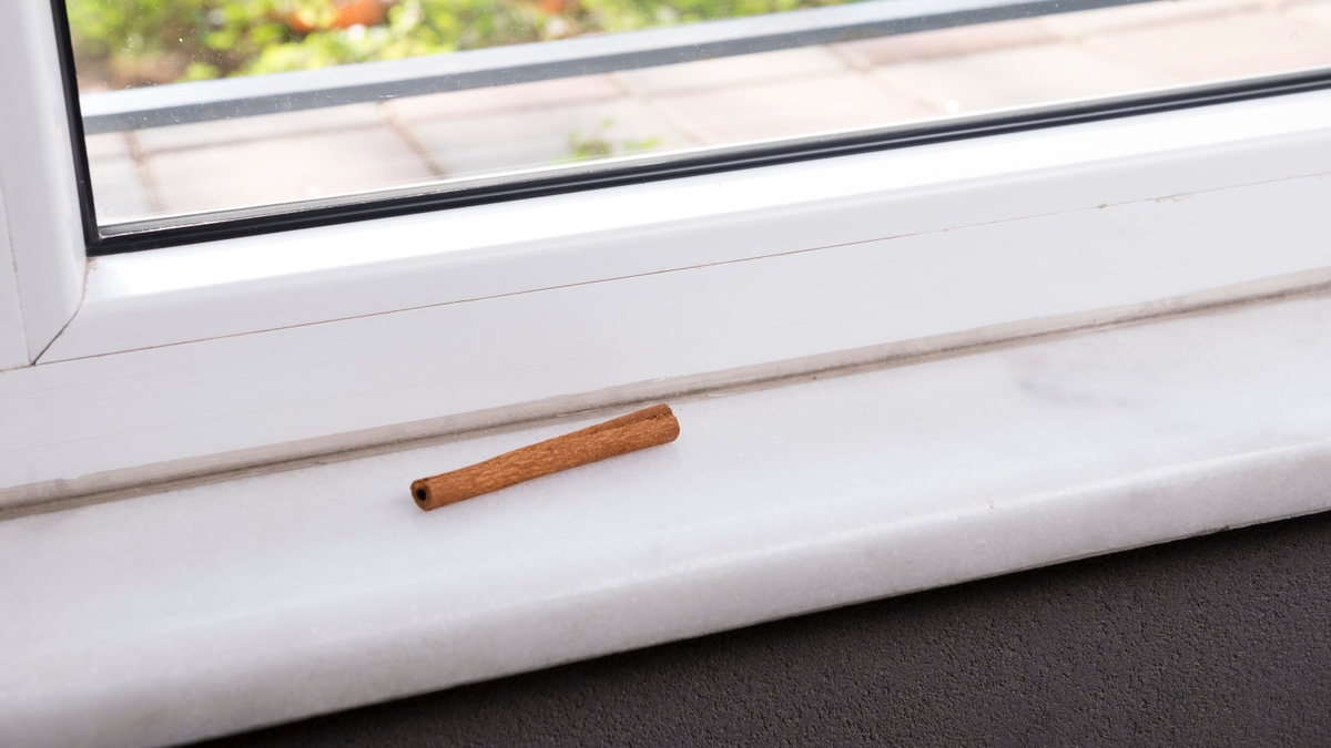 Zimtstange liegt auf einem Fensterbrett.