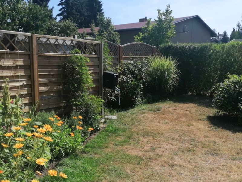 Ein verbrannter Rasen in einem kleinen Garten.