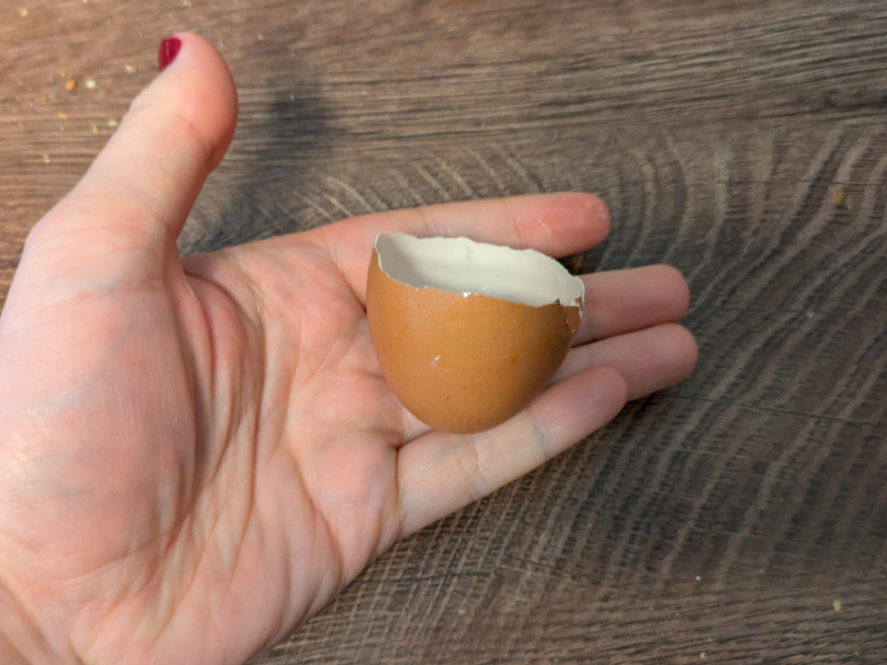 Eine Person hält eine halbe Eierschale auf der flachen Hand.