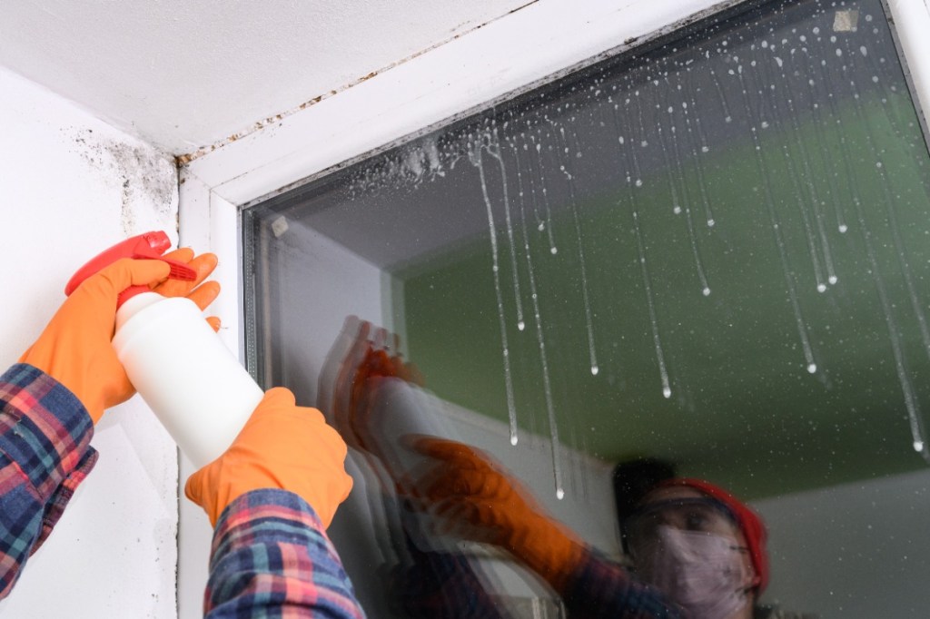 Schimmelbefall am Fenster wird mit Spray behandelt