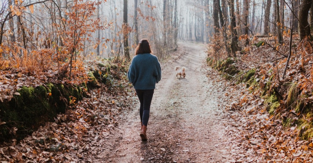 Eine Frau spaziert an einem Herbsttag mit ihrem Hund durch den Wald.