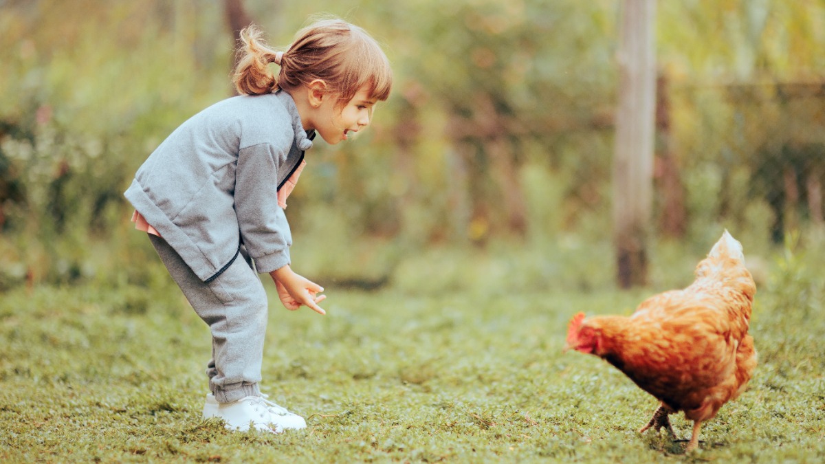 Kleines MÃ¤dchen spielt mit einem Huhn