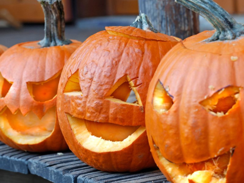 Geschnitzte Halloween-KÃ¼rbisse stehen in einer Reihe