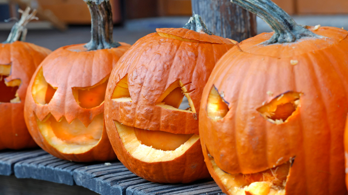 Geschnitzte Halloween-KÃ¼rbisse stehen in einer Reihe