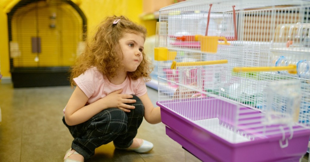 kleines Mädchen sitzt vor einem leeren Hamsterkäfig