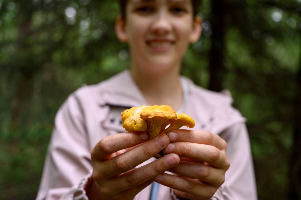 Junge hält Pilz in die Kamera.