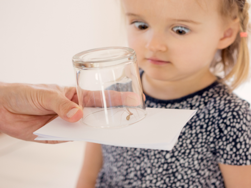 Mädchen starrt auf eine Spinne in einem Glas.