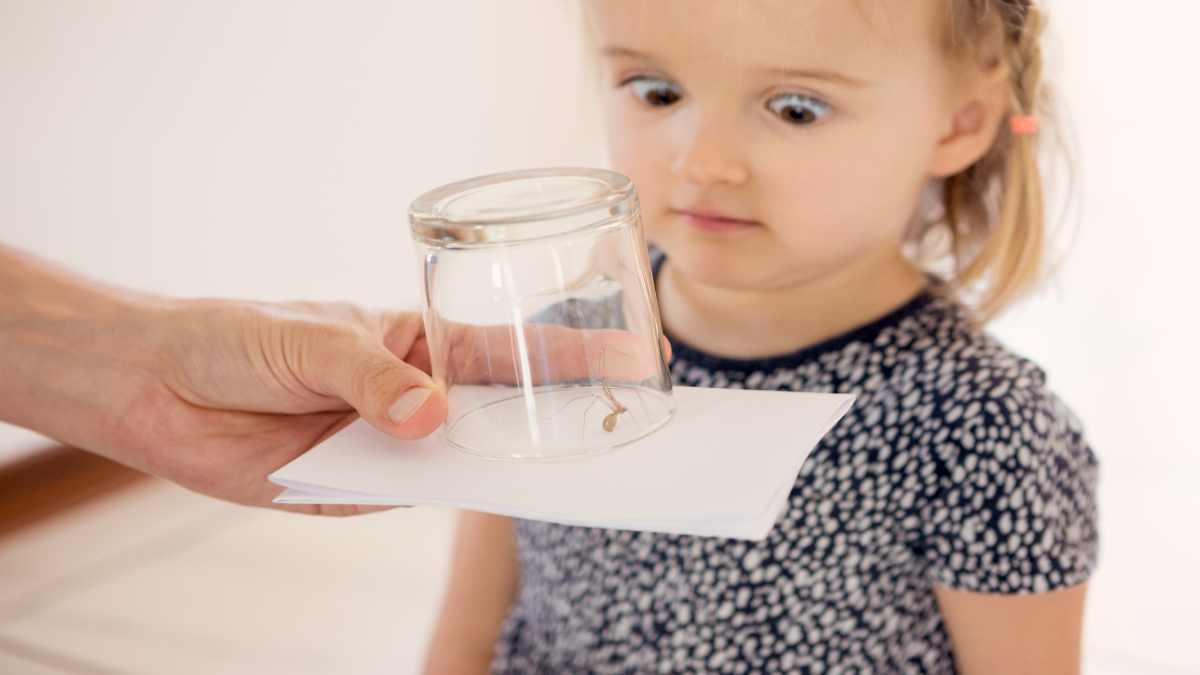 MÃ¤dchen starrt auf eine Spinne in einem Glas.