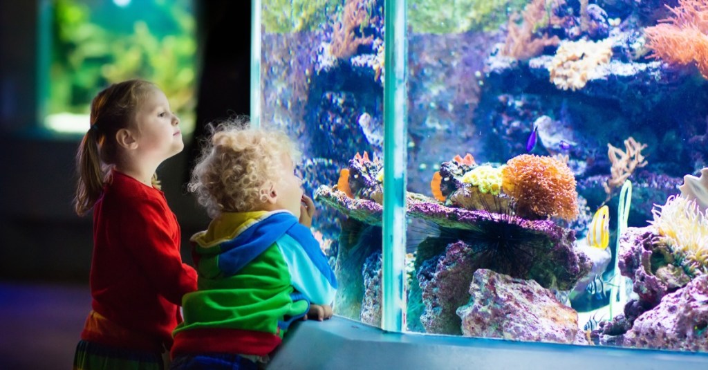 zwei Kinder gucken in ein Aquarium