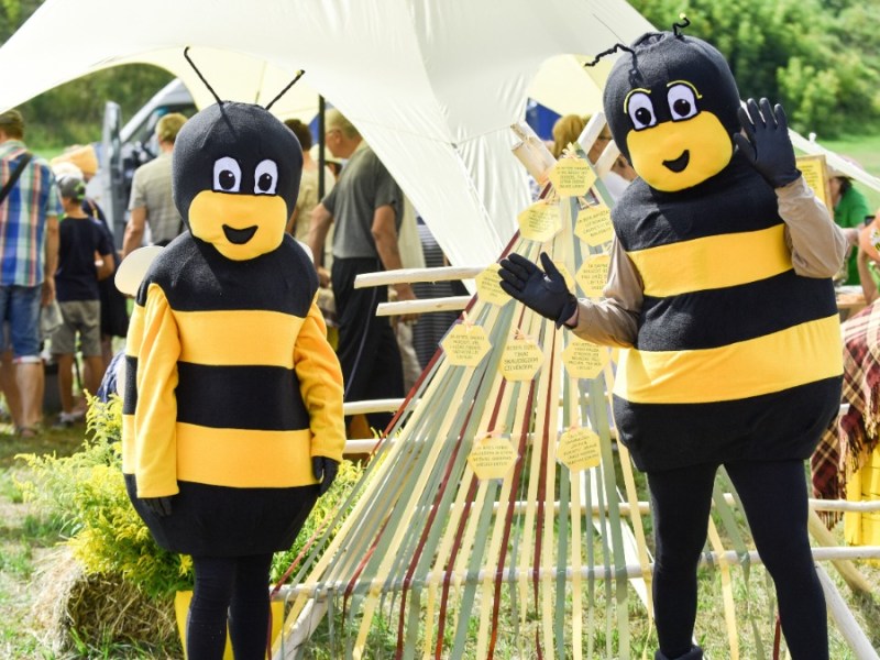 zwei Menschen verkleidet als fleiÃŸige Bienen