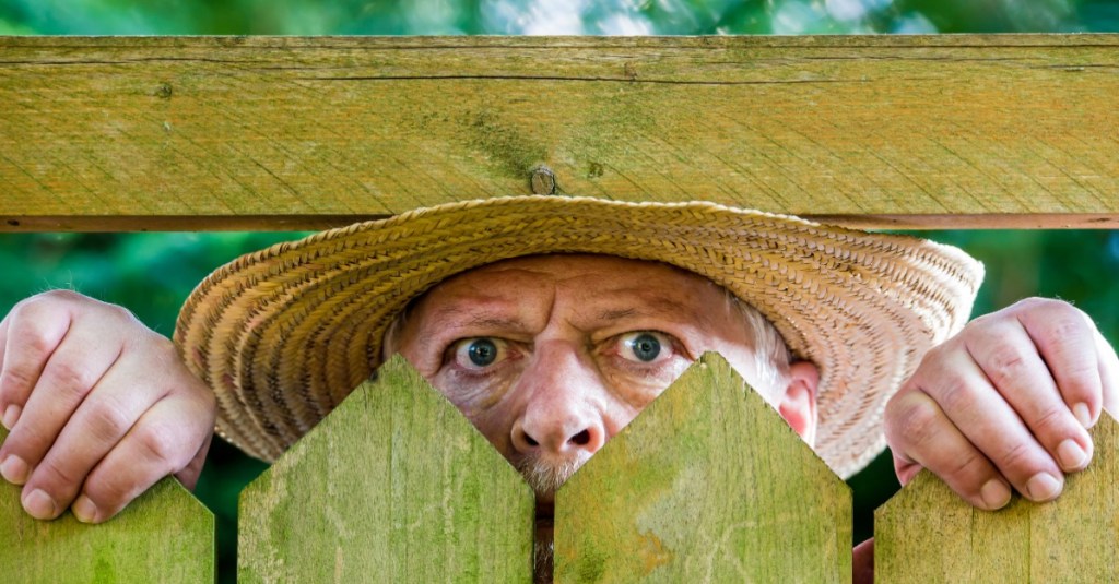 neugieriger Nachbar guckt über den Gartenzaun