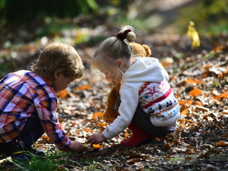 zwei Kinder sammeln im Wald Dinge vom Boden auf