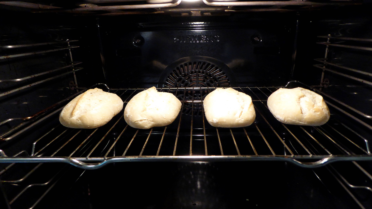 4 Brötchen liegen auf einer Backschiene im Ofen.