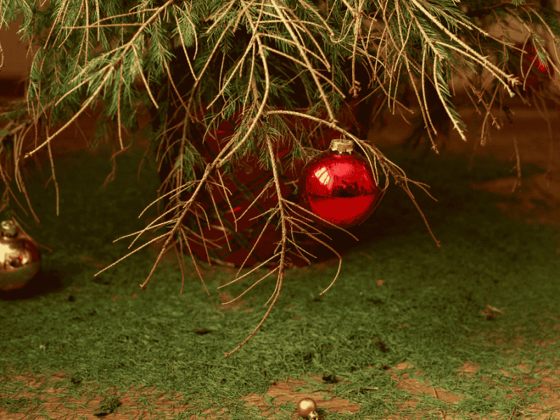 Weihnachtsbaum länger frisch halten