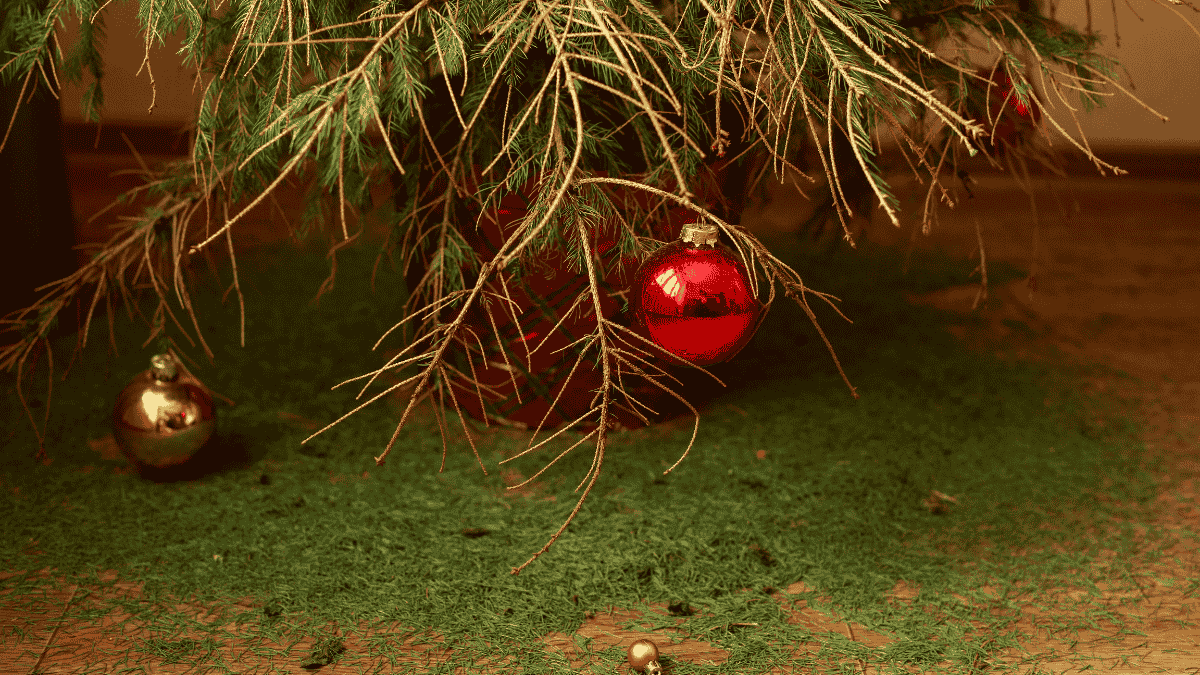 Weihnachtsbaum länger frisch halten