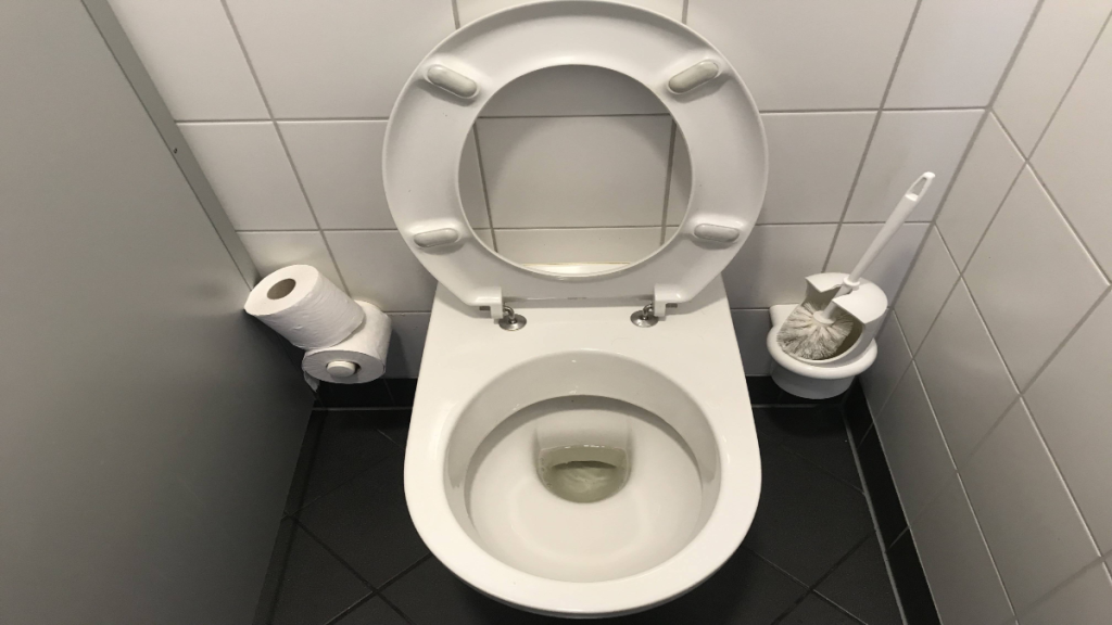 Eine Toilette, daneben Klopapier und ein Klobürstenhalter.