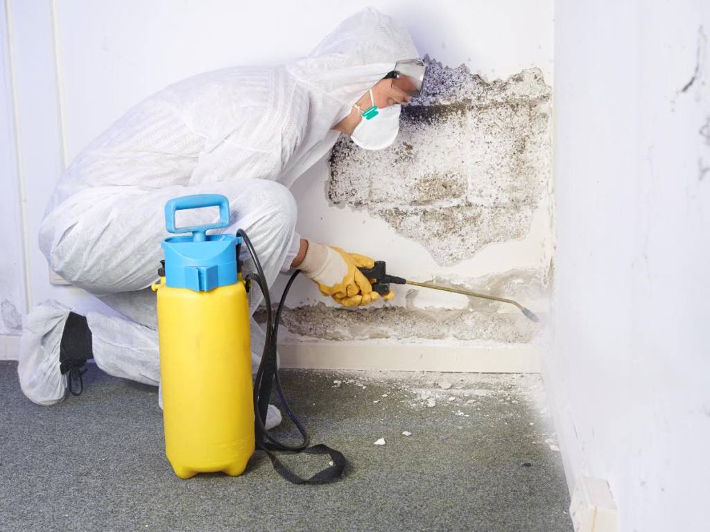 Ein Mann in Schutzkleidung und mit Sprühflasche entfernt Schimmel an einer weißen Wand.