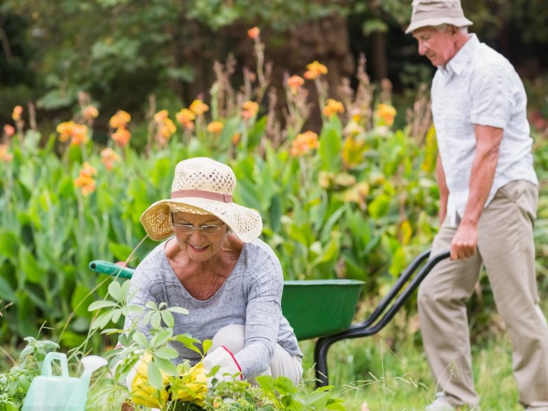 Die besten Gartentricks von Oma.