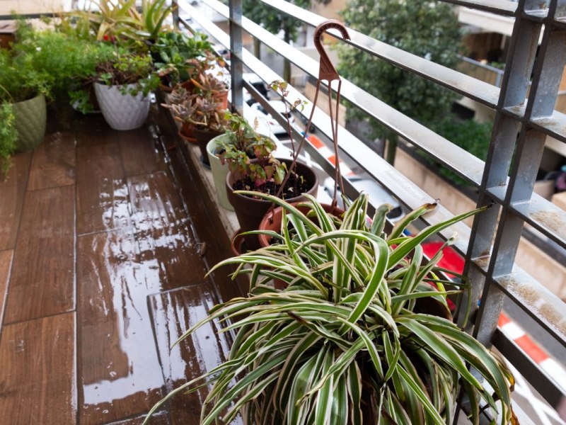 Regenwasser läuft über einen Balkon mit Pflanzenkübeln.