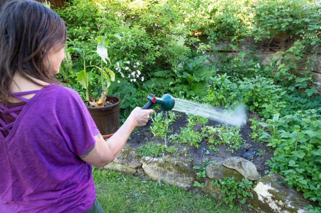 Garten gießen verboten: So umgehst du die neuen Regeln legal und schützt deine Pflanzen