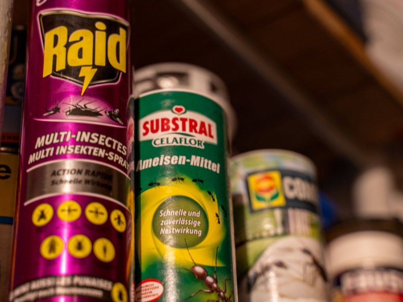 Insektenspray aus dem Supermarkt: Neue Beratungspflicht sorgt für Ärger