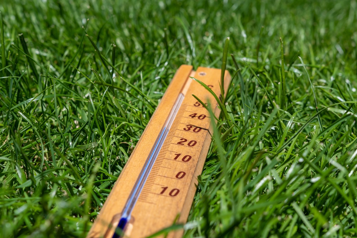 Ein Thermometer liegt in einem grünen Rasen.