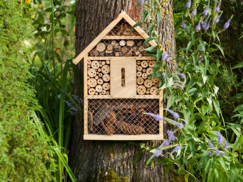 Ein Insektenhaus, das an einem Baum befestigt ist.