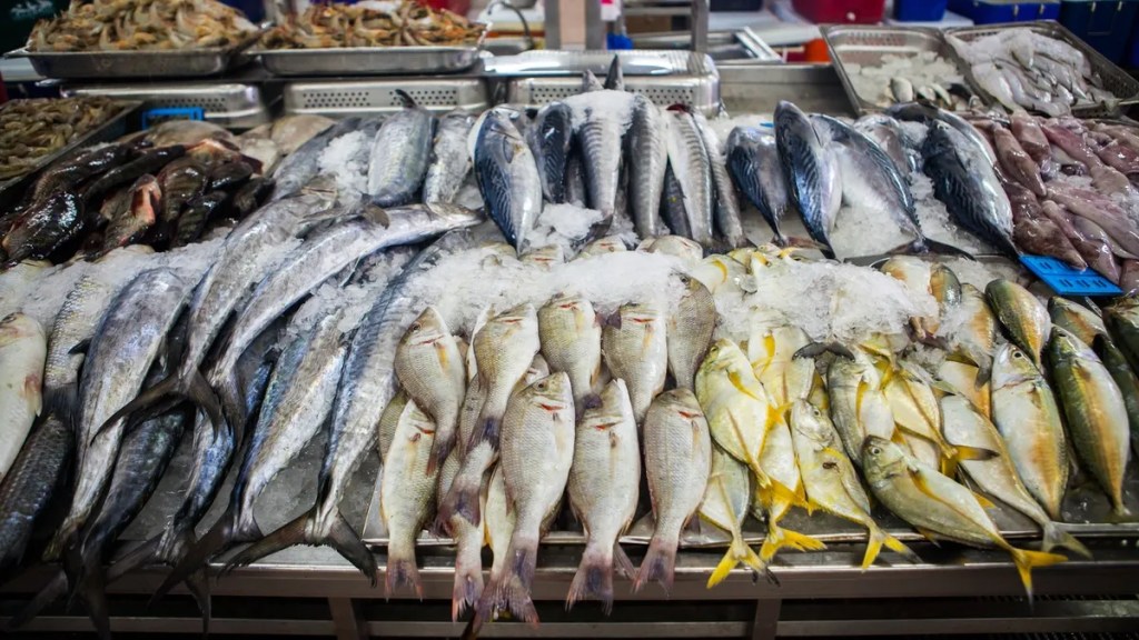 Fisch