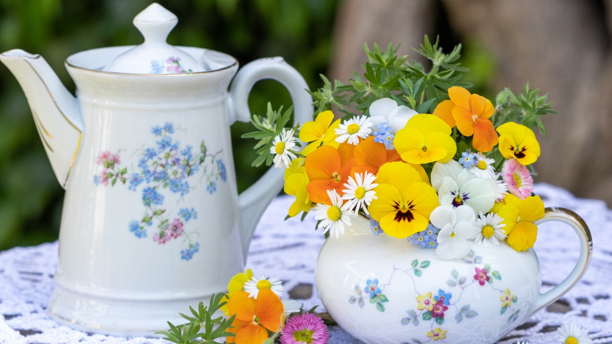 Eine alte Kaffeekanne steht neben einer alten Milchkanne, in die Blümchen gesteckt wurden