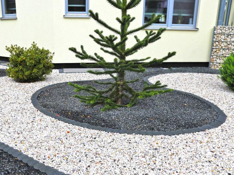 Ein Schottergarten mit einem Nadelbaum in der Mitte.
